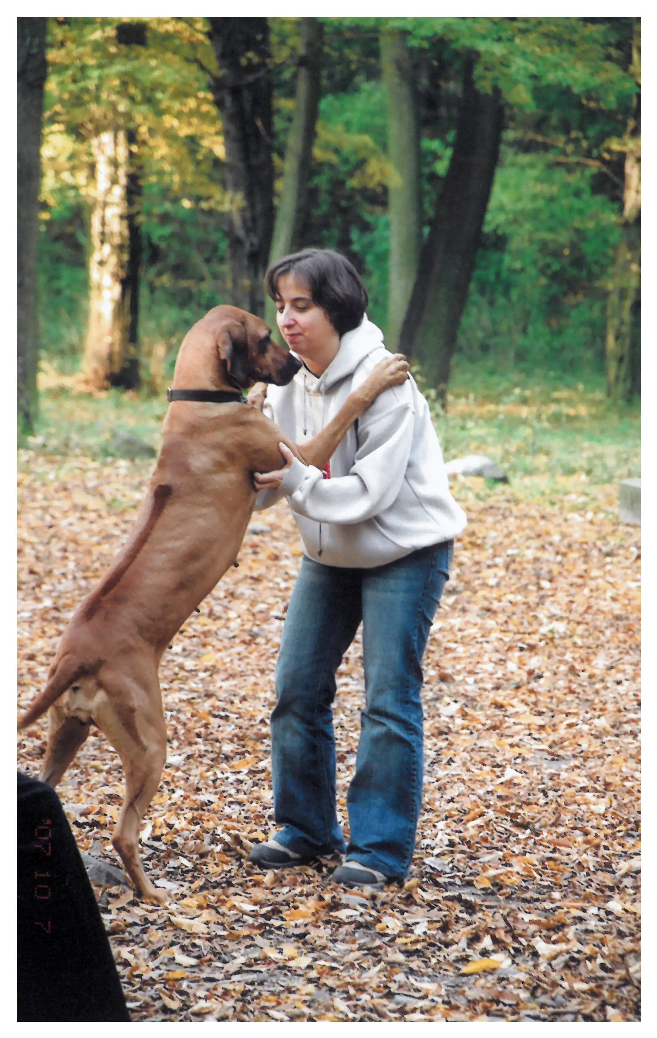 004 2007.10.07 Plisi kirándulás